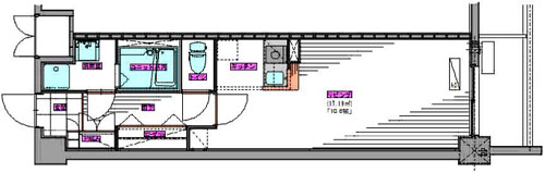 ���C��w�w�O�}���V����2LDK